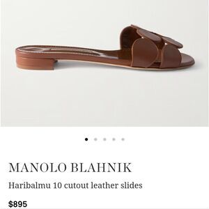 Manolo BlahnikHaribal Circle-Cut Slide in Dark Brown
